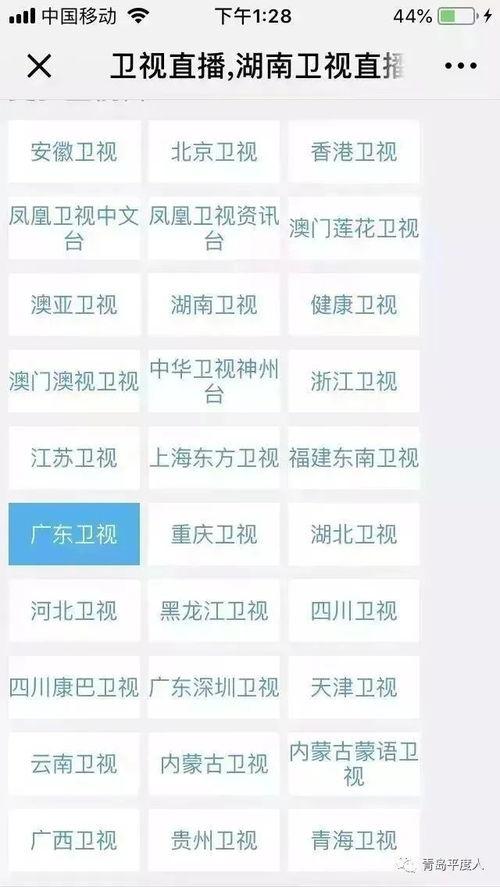 在线频道免费观看,免费在线频道，尽享视听盛宴